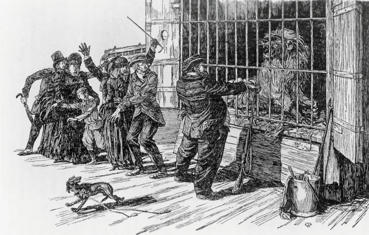 Tartarin and the lion cage, illustration for Tartarin on the Alps by Alphonse Daudet by Giuseppe Porcheddu
