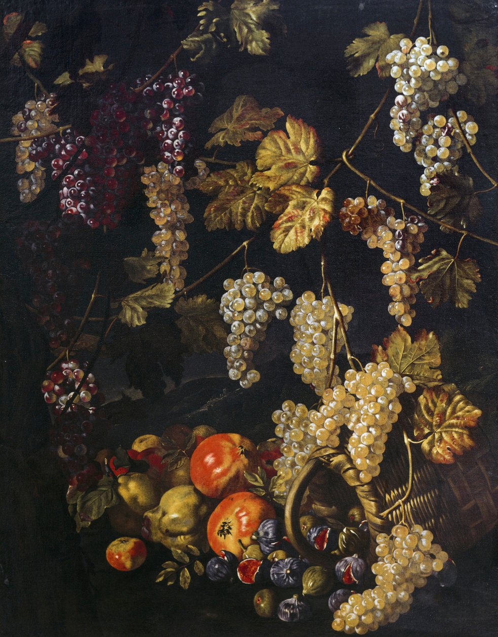 Still life with grapes, vine leaves and other fruit by Giuseppe Recco