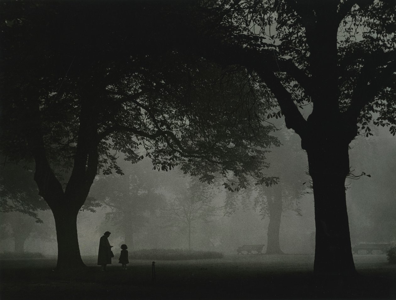 Regents Park, London 1950s by Godfrey Macdominic