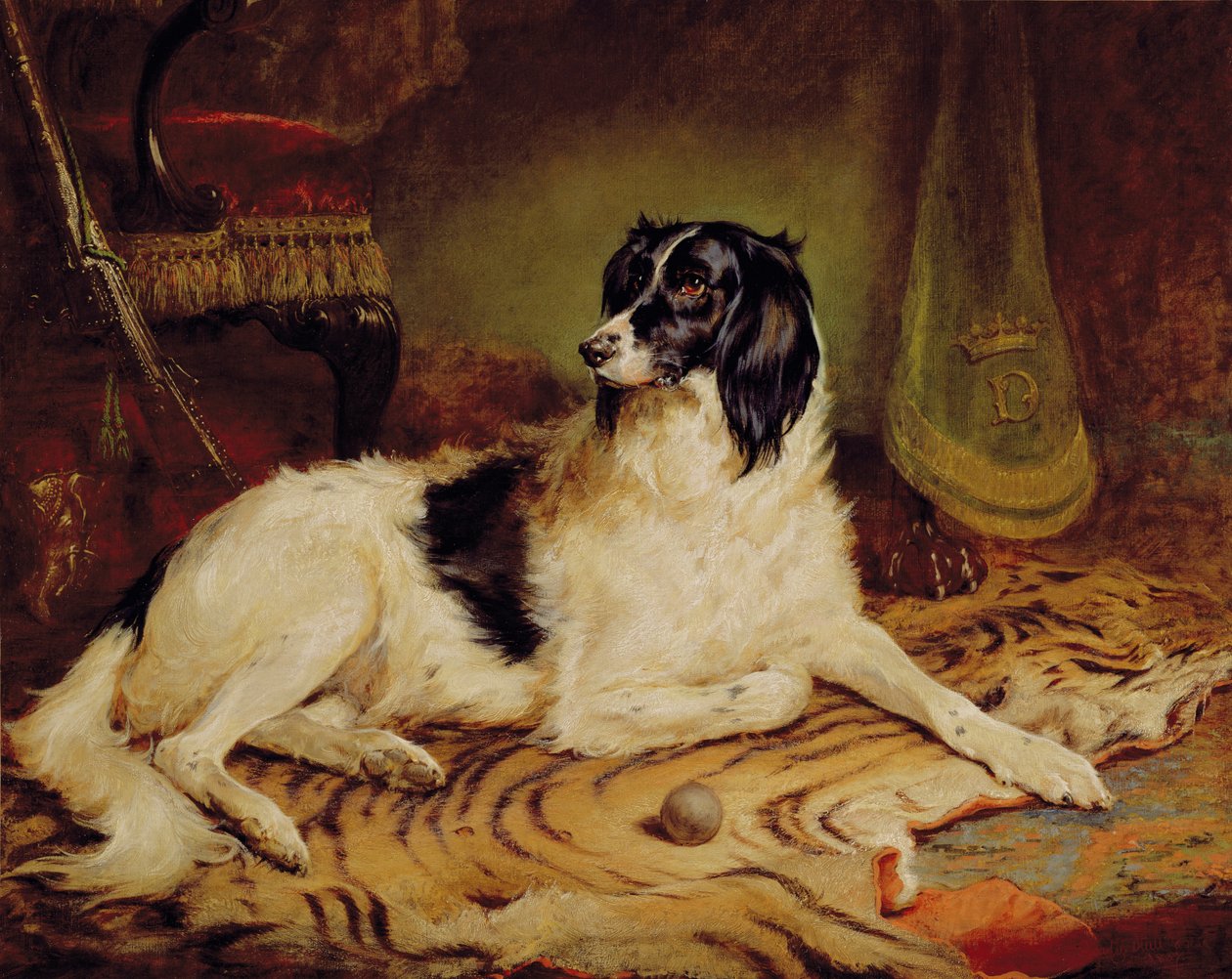 Minna, a favourite dog of James, Marquess of Dalhousie by Gourlay Steel