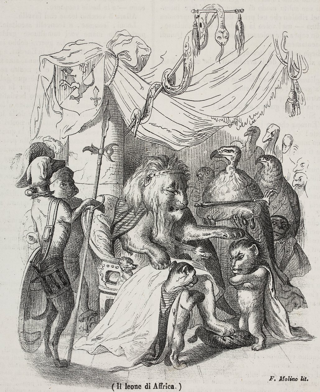 Lion of Africa, character of story of African Lion and three native young lions by Grandville
