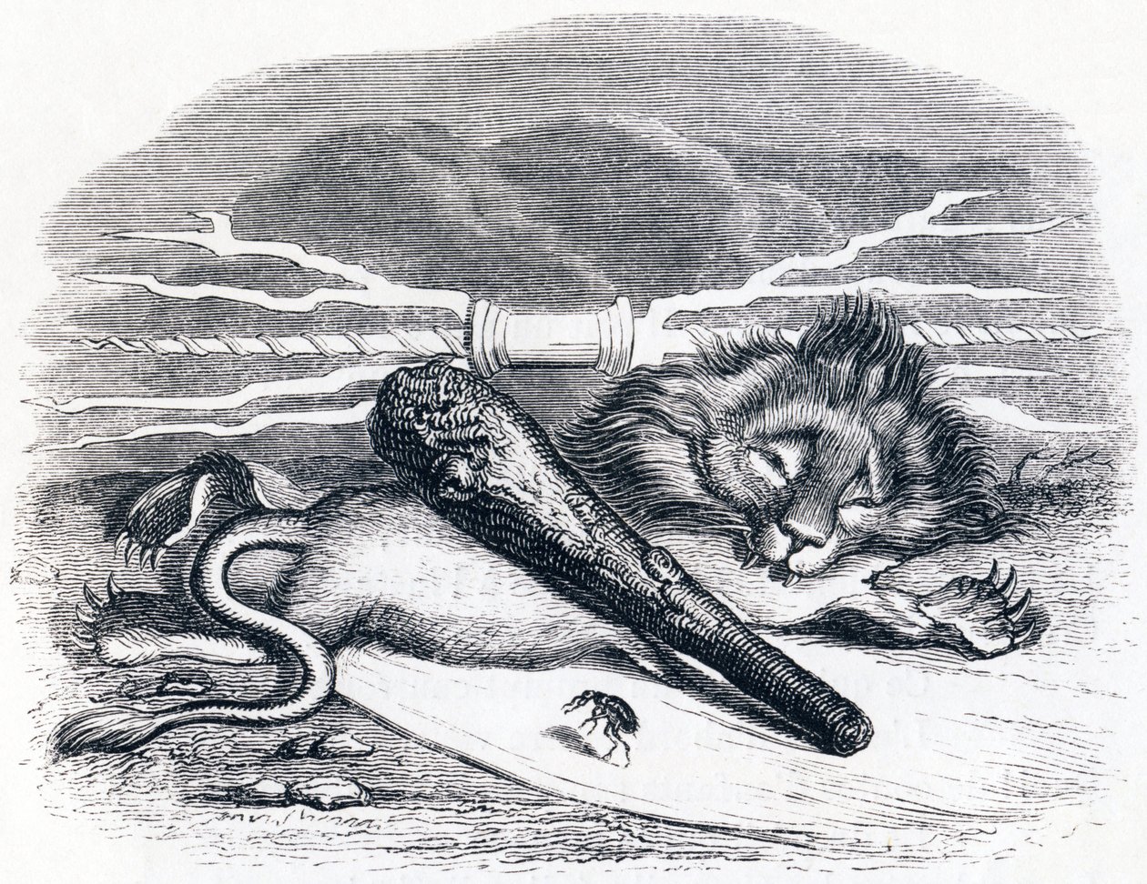 The Man and the Flea - Fables by La Fontaine by Grandville