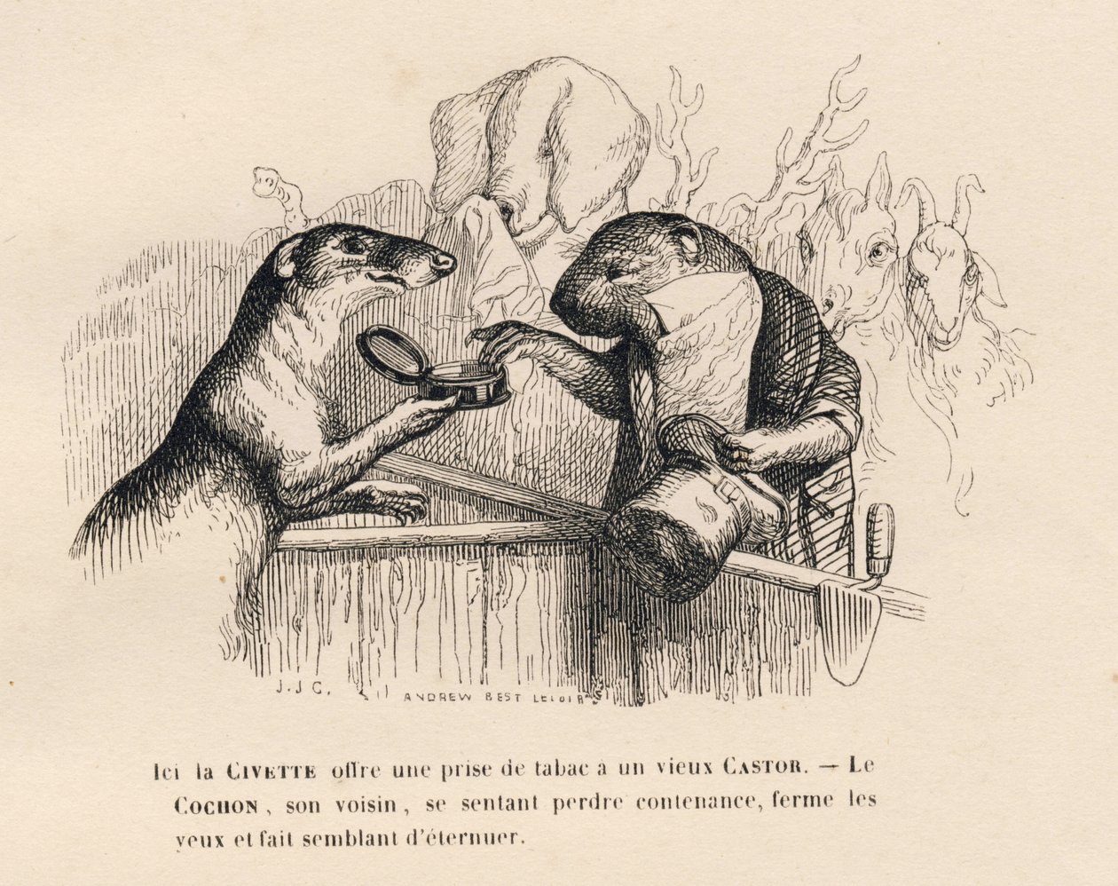 A Civet Offering a Pinch of Snuff to an Old Beaver, the Pig Behind Him Trying to Contain Himself. Illustrated Vignettes by JJ Granville. Engraving Signed by Andrew, Best, and Leloir in the Prologue Titled 