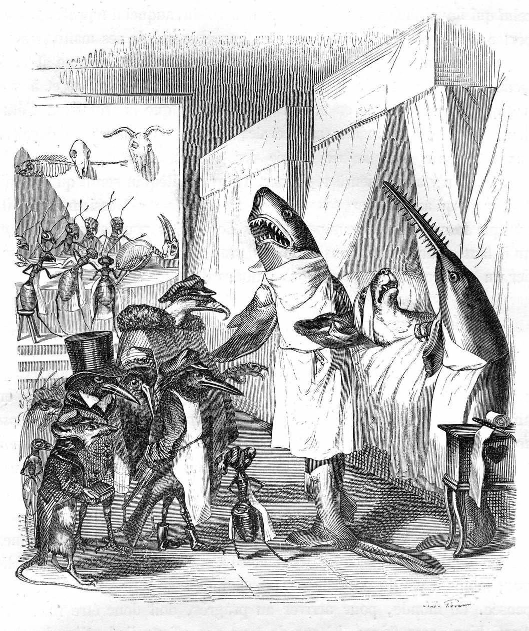 Cartoon: Pisces - doctors: Grandville engraving, from the book “Private and public life of animals (Les animaux peints par eux-mêmes)”, Hetzel edition 1867 p. 551 - A shark and a sawfish at the bedside of a sick person in bed. by Grandville (1803 47)