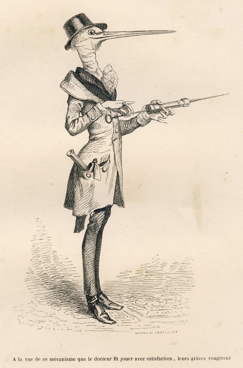 Stork as a Doctor Manipulating a Clyster by Grandville