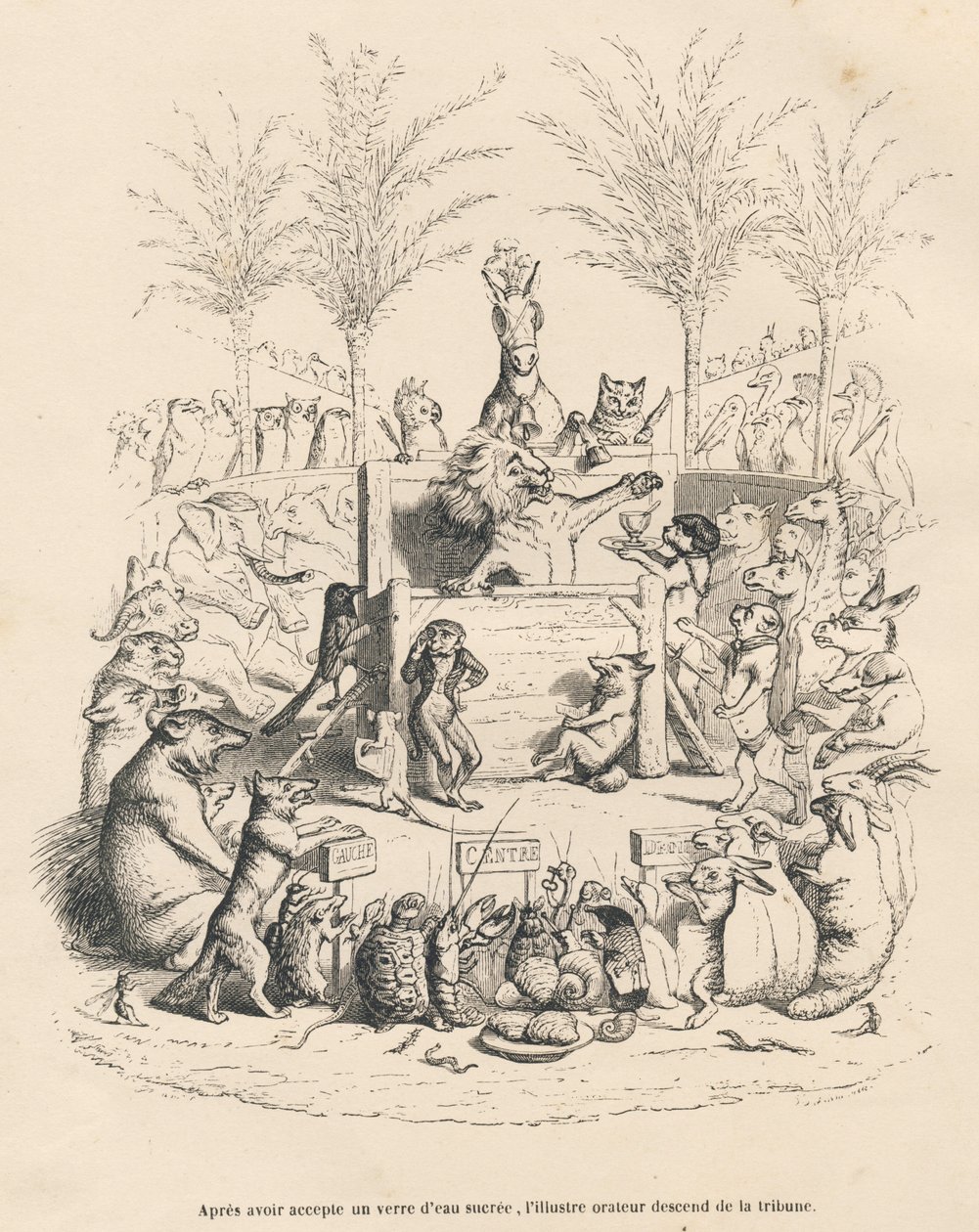 Political Speech of the Lion in a Tribune Surrounded by All the Other Animals. Illustrated Vignettes by JJ Granville. Engraving Signed Godard in the Prologue 