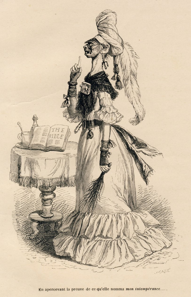 Upon Seeing the Proof of What She Called My Intemperance by Grandville