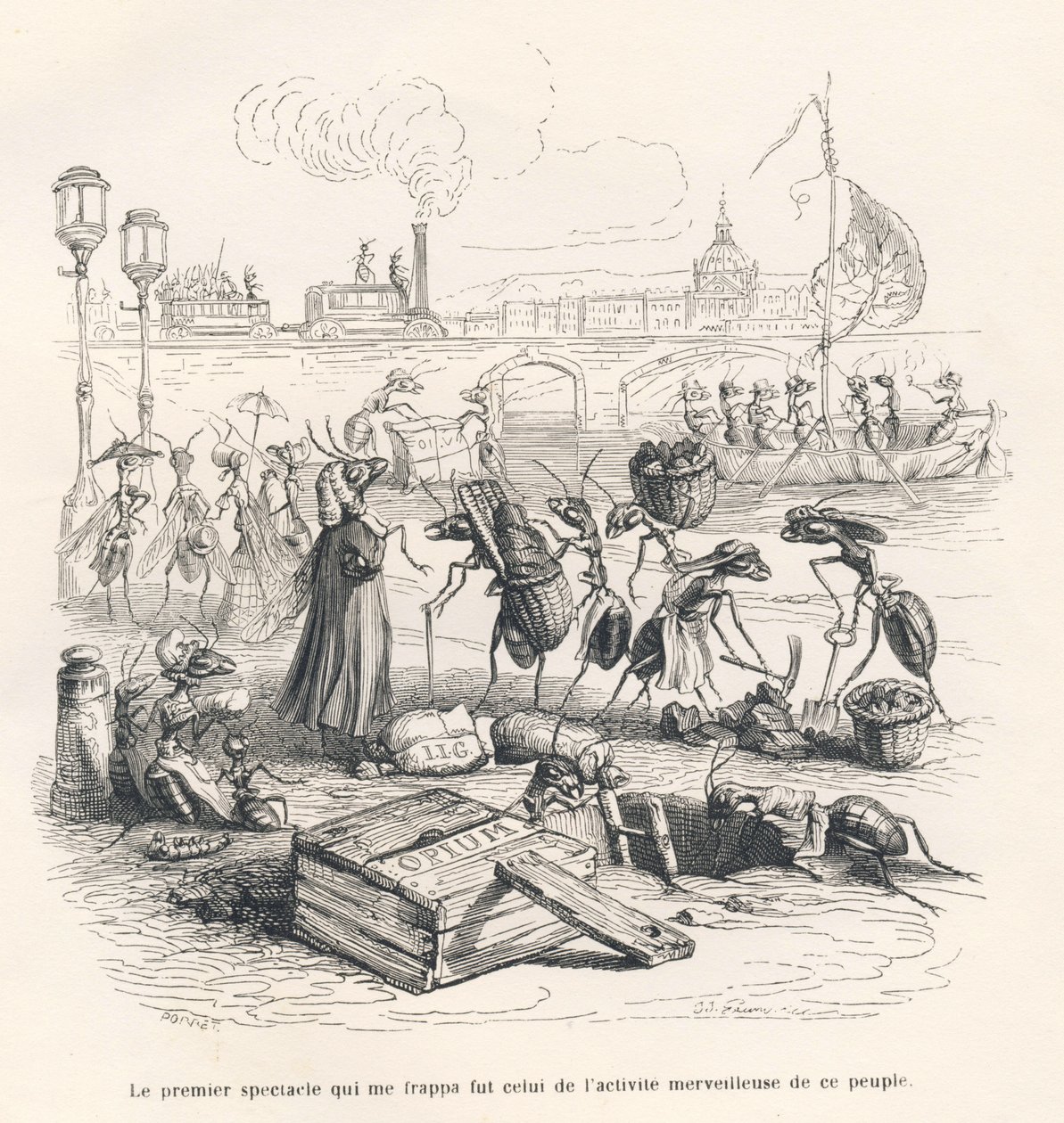 Ants in Full Activity on the Banks of the Seine. Illustrated Vignettes by JJ Granville. Engraving Signed Porret in the Section 
