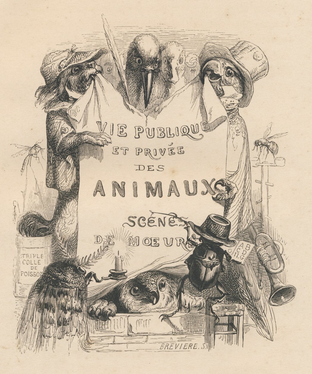 Frontispiece of the Book 