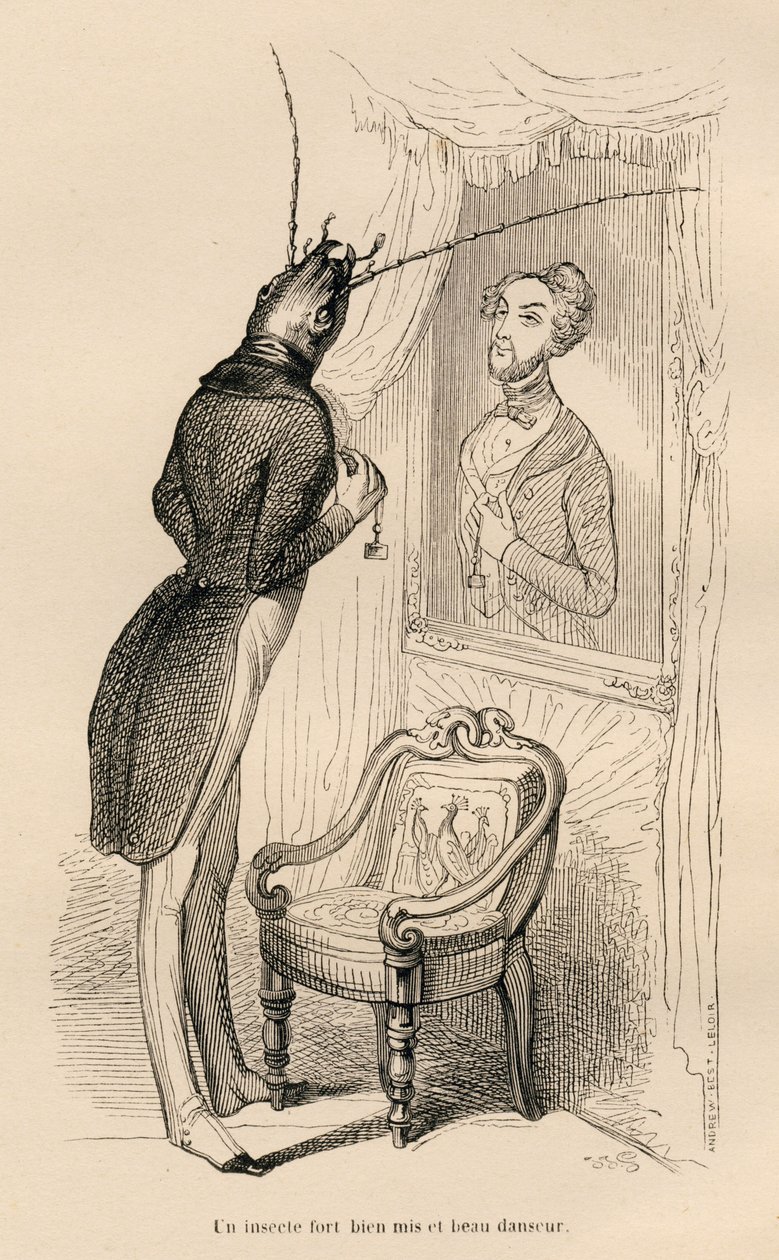 Insect looking at its human reflection in the mirror. Illustrated vignettes by JJ Granville. Engraving signed Andrew, Best and Leloir in the section titled "The Adventures of a Butterfly" written by PJ Stahl in "Scenes from the Private and Public Life of A by Grandville