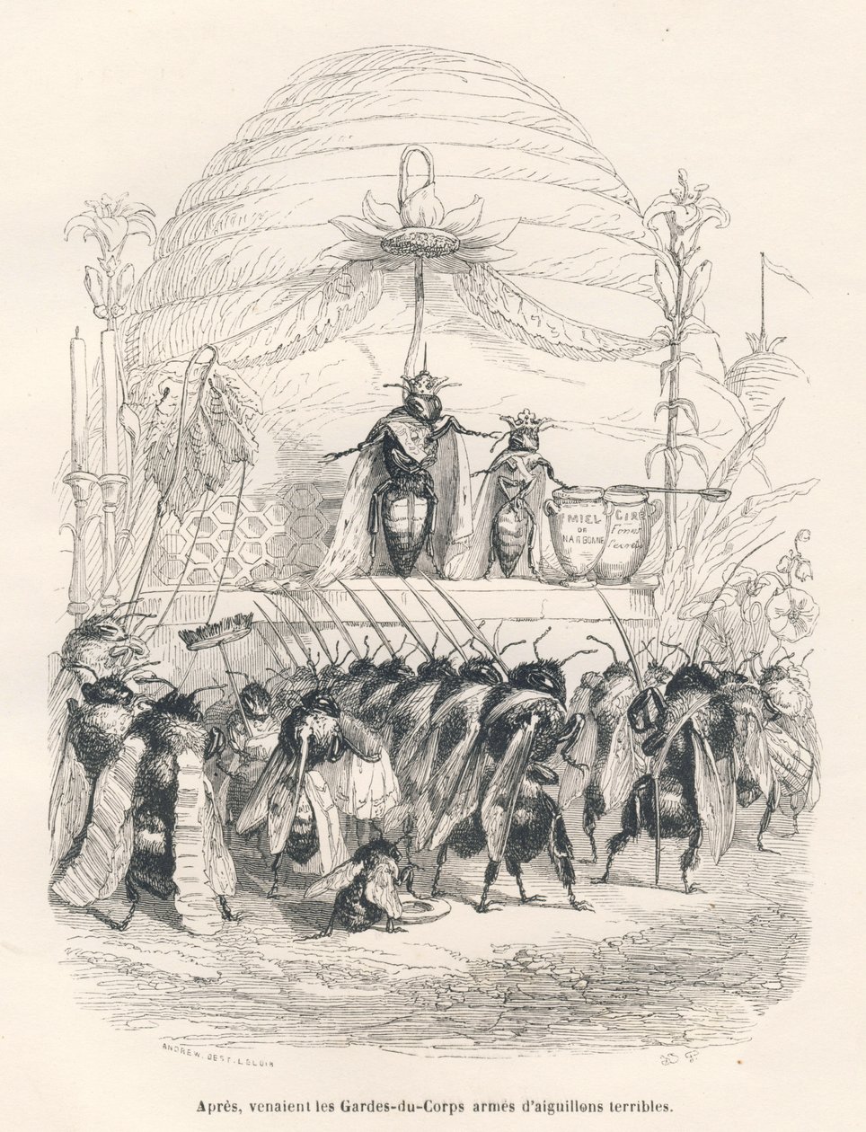 The Queen Bee and Her Army. Illustrated Vignettes by JJ Granville. Engraving Signed Andrew, Best and Leloir in the Section Entitled 
