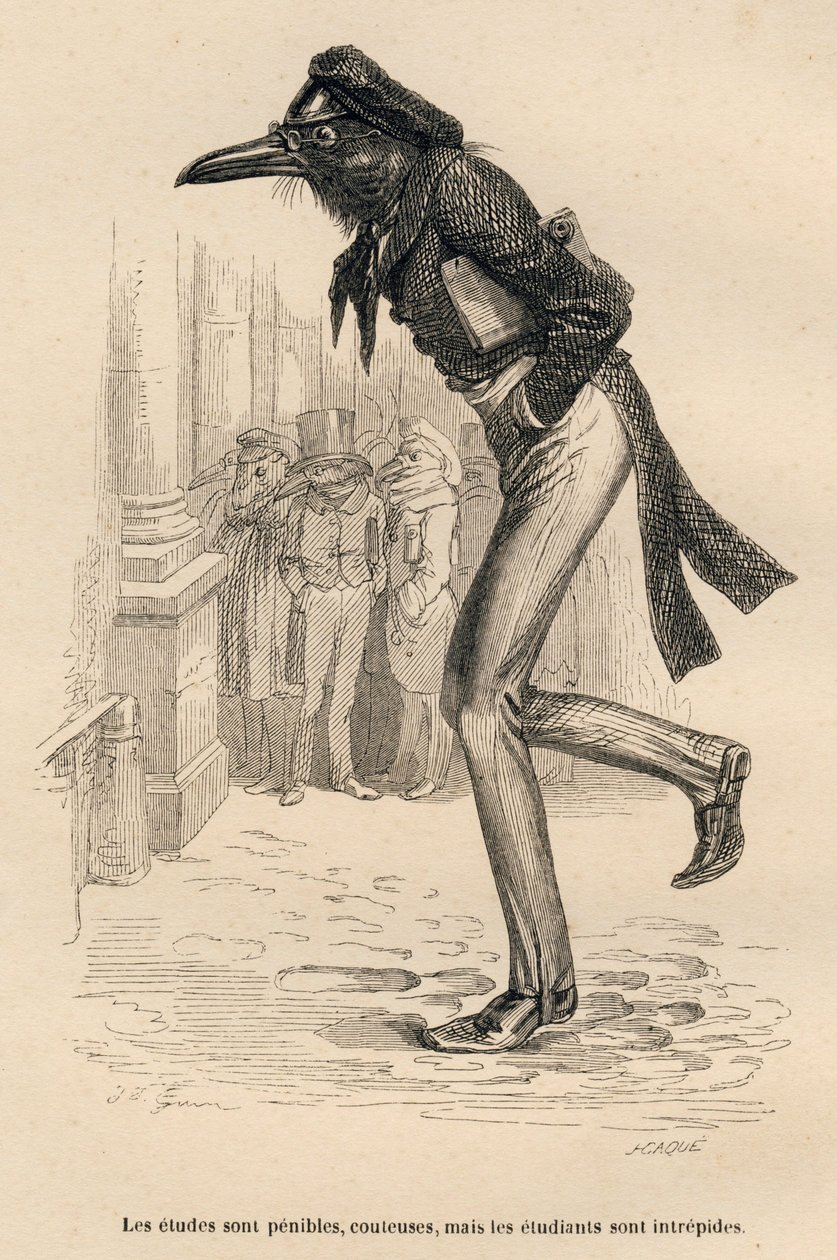 Studies are Difficult and Costly but Students are Intrepid by Grandville