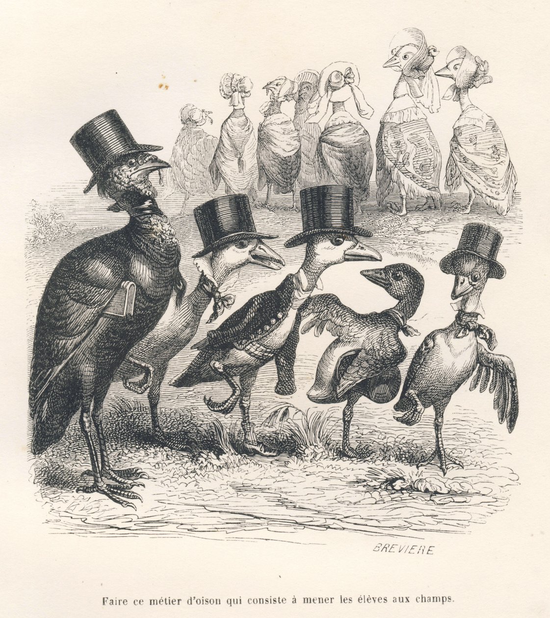 Goose Job Consisting of Bringing Students to the Fields. The Geese Move Away from Their Child. Illustrated Vignettes by JJ Granville. Engraving Signed Breviere in the Section 