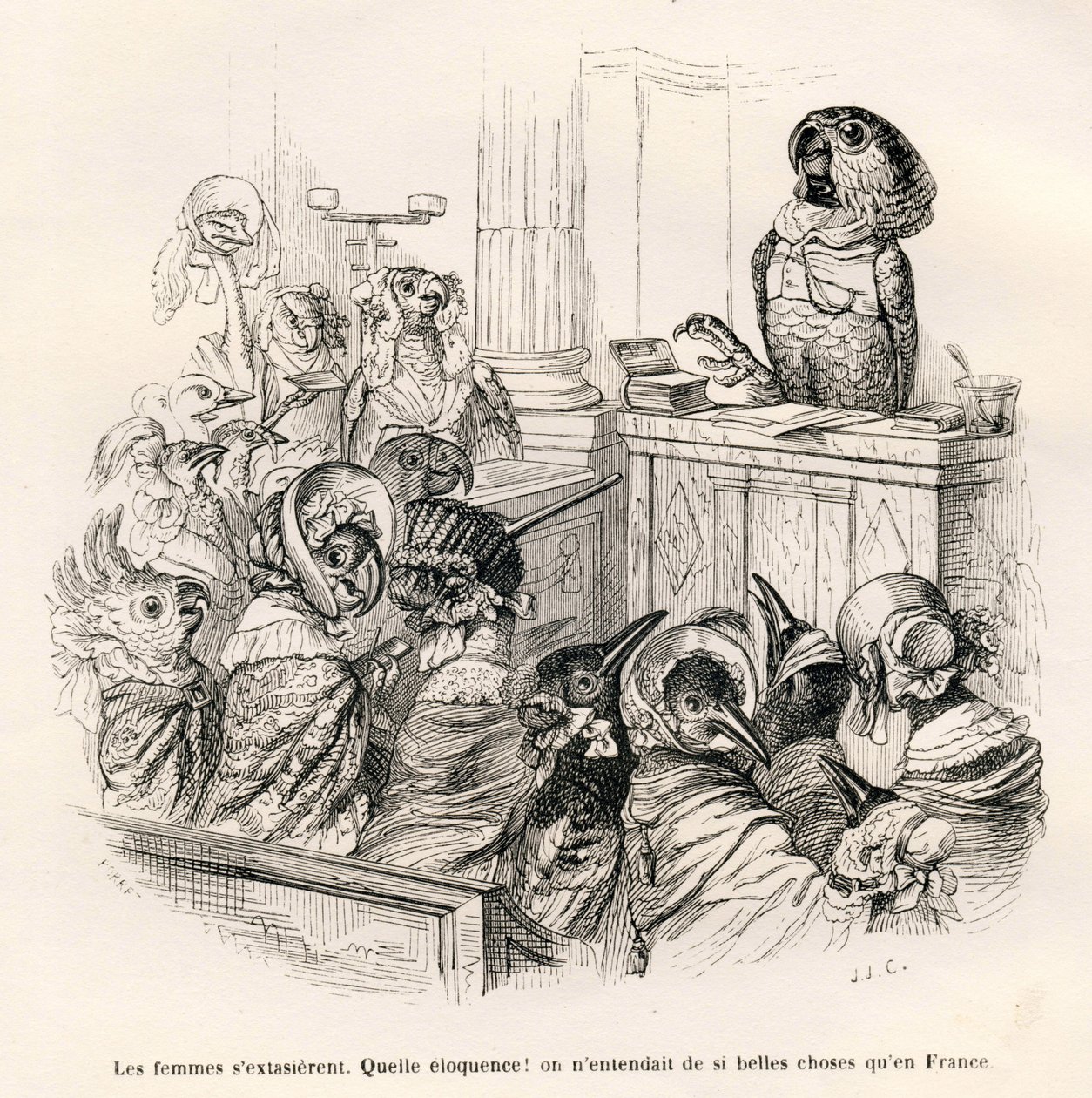 Eloquent Parrot. Illustrated Vignettes by JJ Granville. Engraving Signed Porret in the Section Entitled 