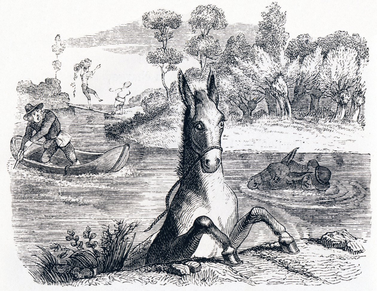 The Donkey with the Sponge and the Donkey with the Salt - Fables by La Fontaine by Grandville