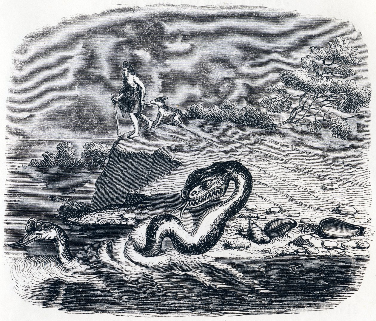 The Head and Tail of the Snake - Fables by La Fontaine by Grandville