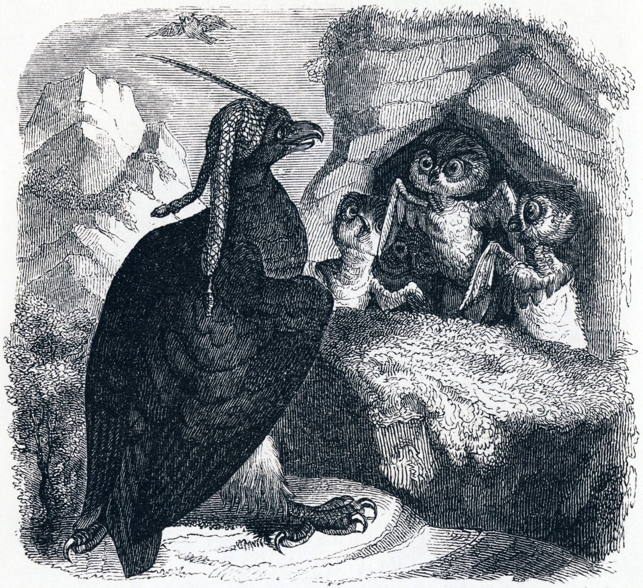 The eagle and the owl - Fables by La Fontaine by Grandville