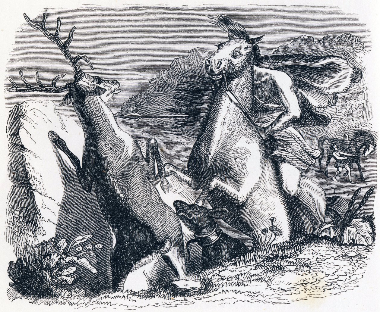 The horse wanted to avenge the deer - Fables by La Fontaine by Grandville