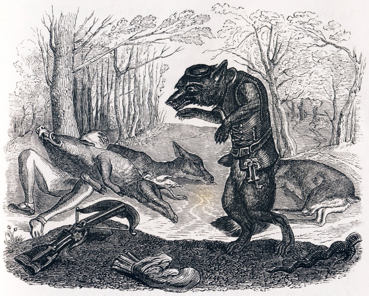 The Wolf and the Hunter - Fables by La Fontaine by Grandville