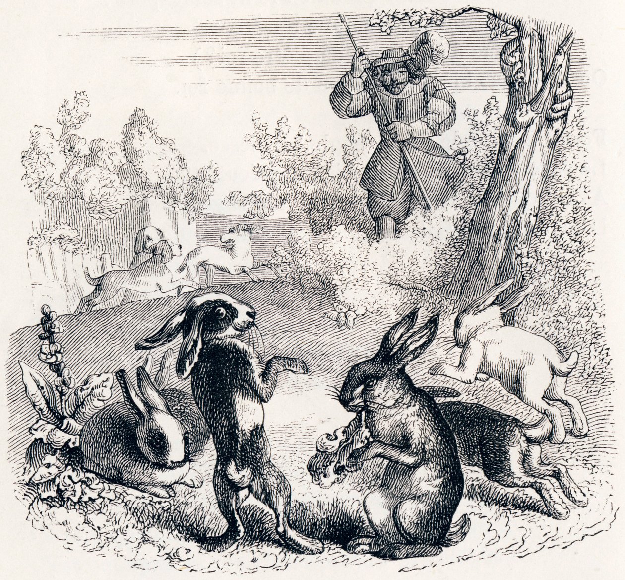 The Rabbits - Fables by La Fontaine by Grandville