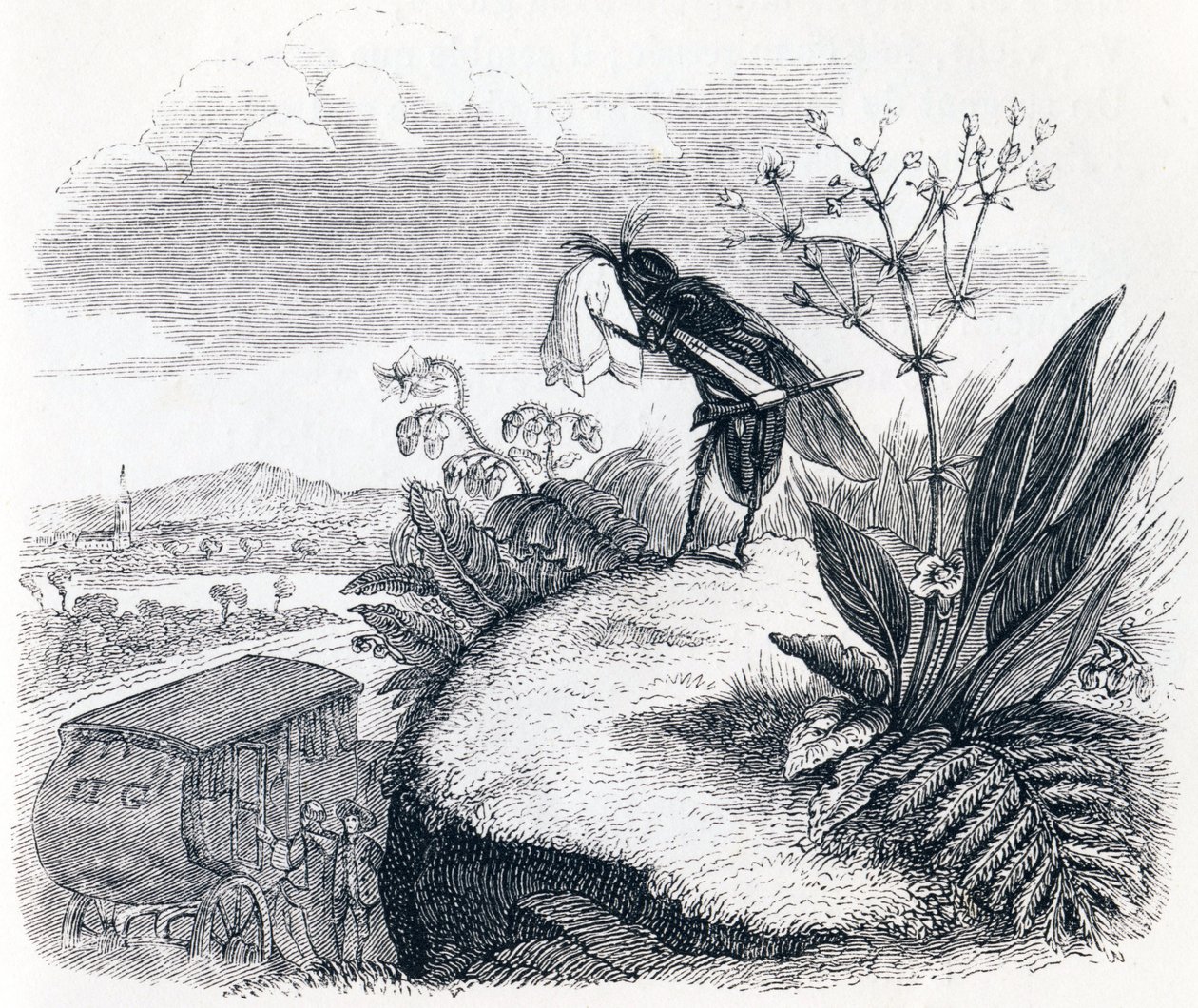 The Tick and the Fly - Fables by La Fontaine by Grandville