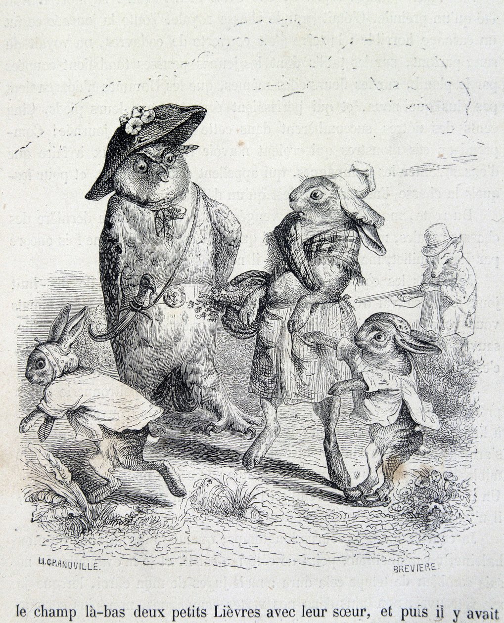 The Two Little Hares, Their Sister and the Owl by Grandville