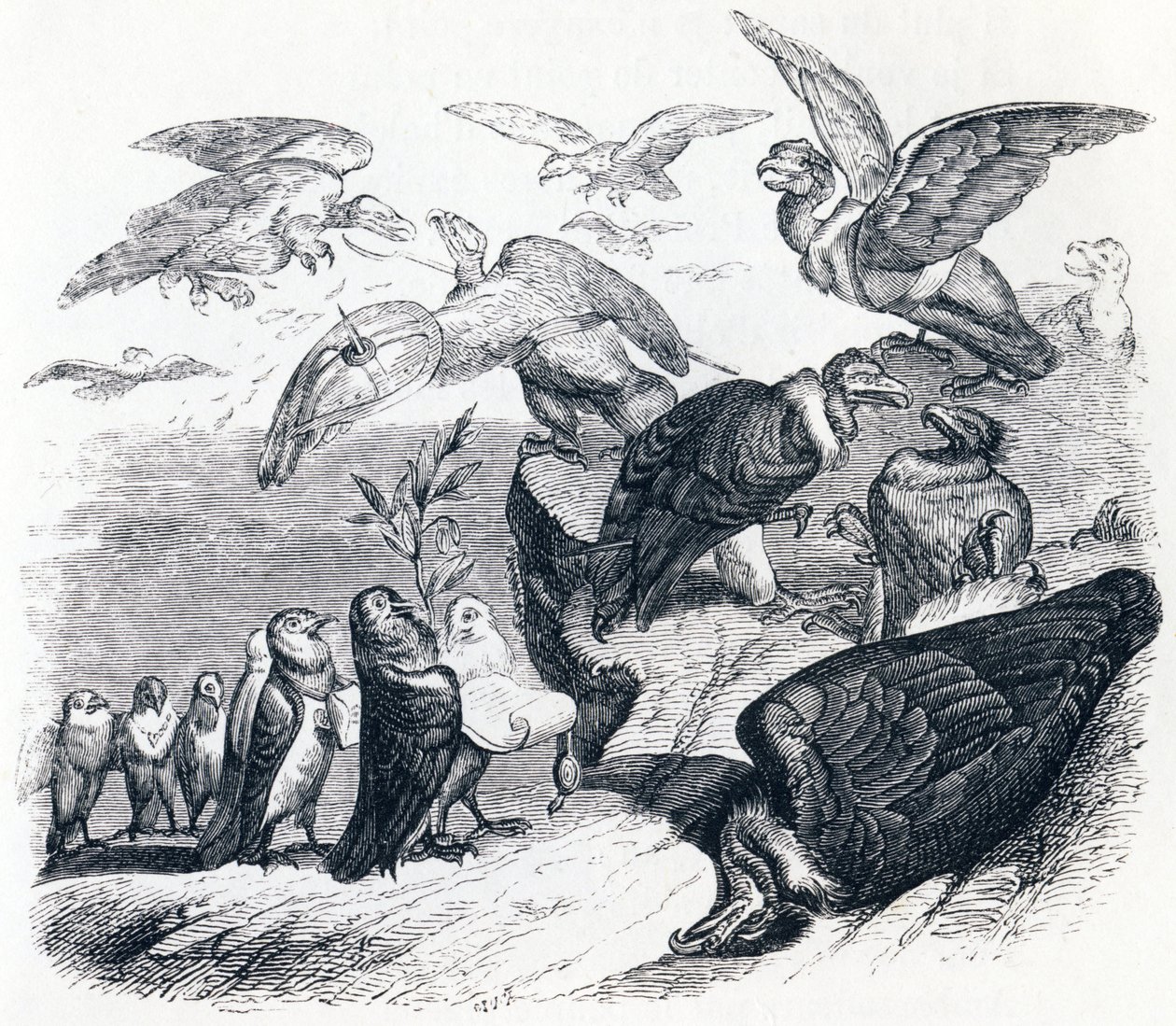 The vultures and the pigeons - Fables by La Fontaine by Grandville