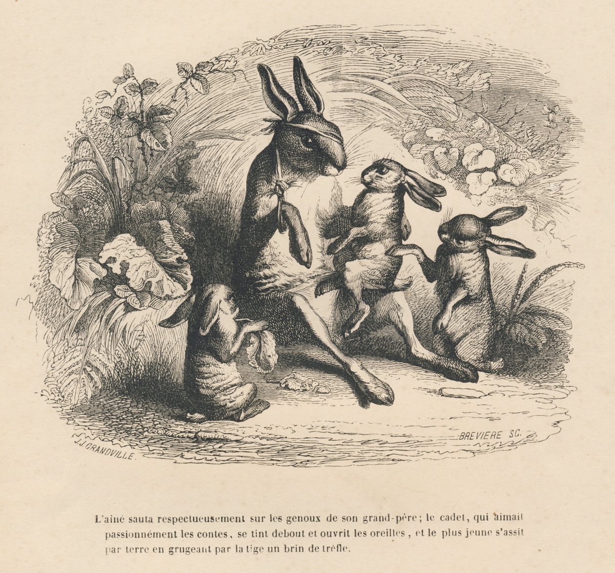 Three Rabbit Children Listening to Their Injured Grandfather Tell Stories. Illustrated Vignettes by JJ Granville. Engraving Signed Breviere in the Section 