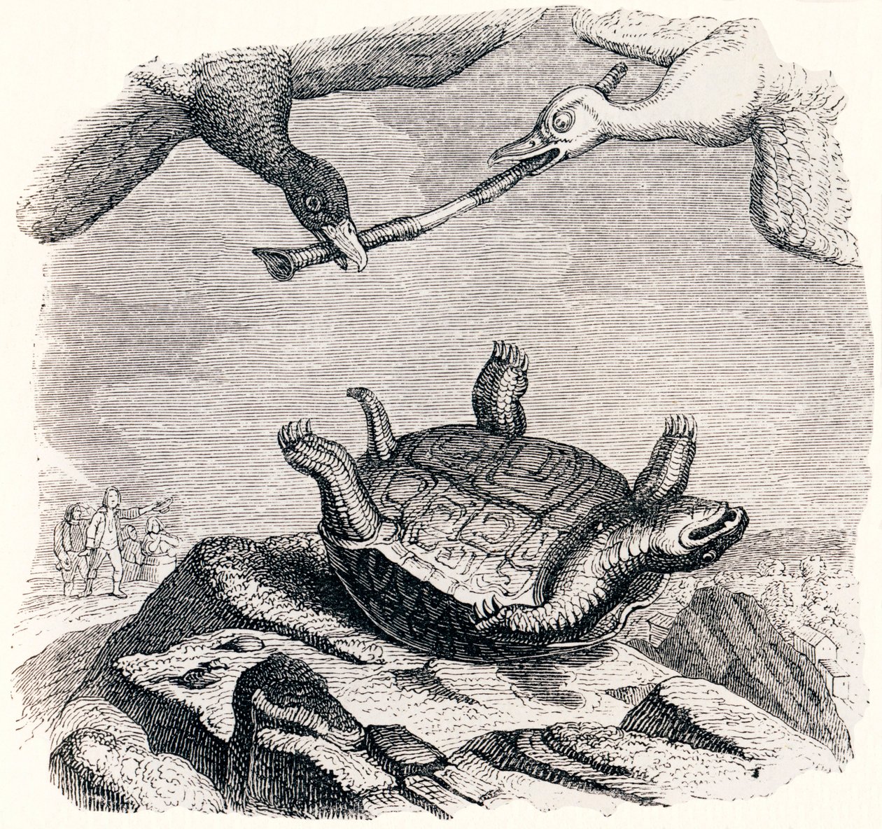 The Turtle and the Two Ducks - Fables by La Fontaine by Grandville