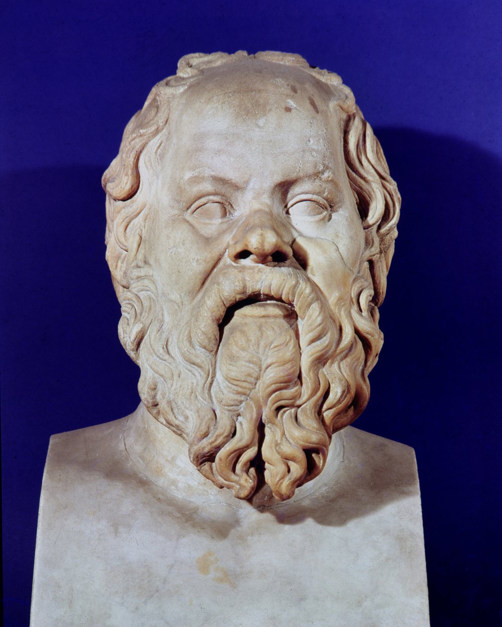 Bust of Socrates (470-399 BC)  by Greco Roman