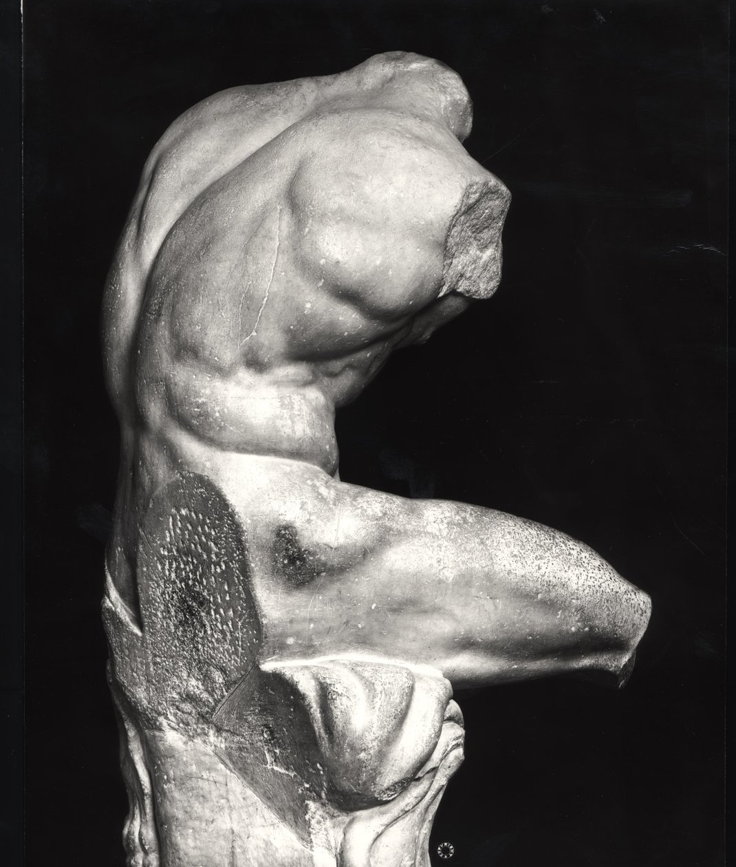 Belvedere torso by Greco Roman Greco Roman
