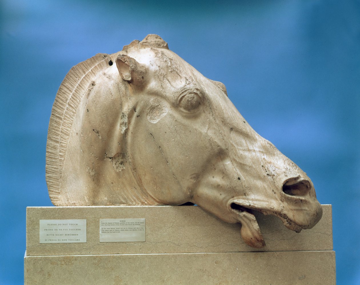 Head of one of the horses of Selene, goddess of the moon, from the east pediment of the Parthenon, 447-432 BC by Greek