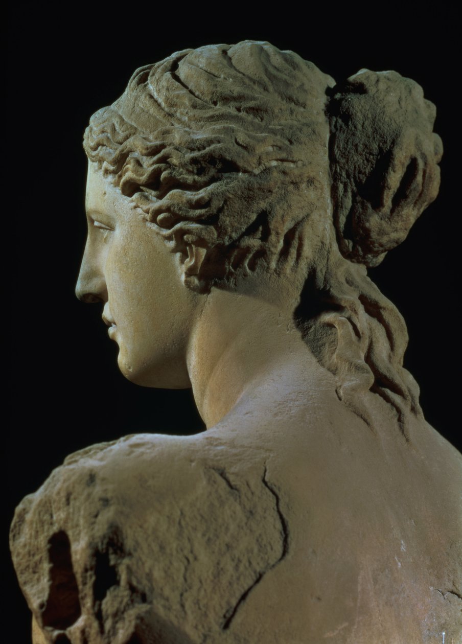 Venus de Milo (detail) by Greek