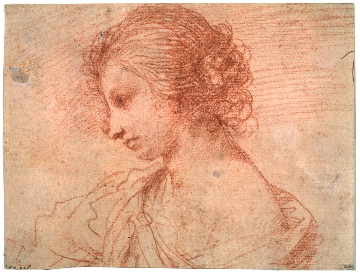 Breast Portrait of a Young Female by Guercino