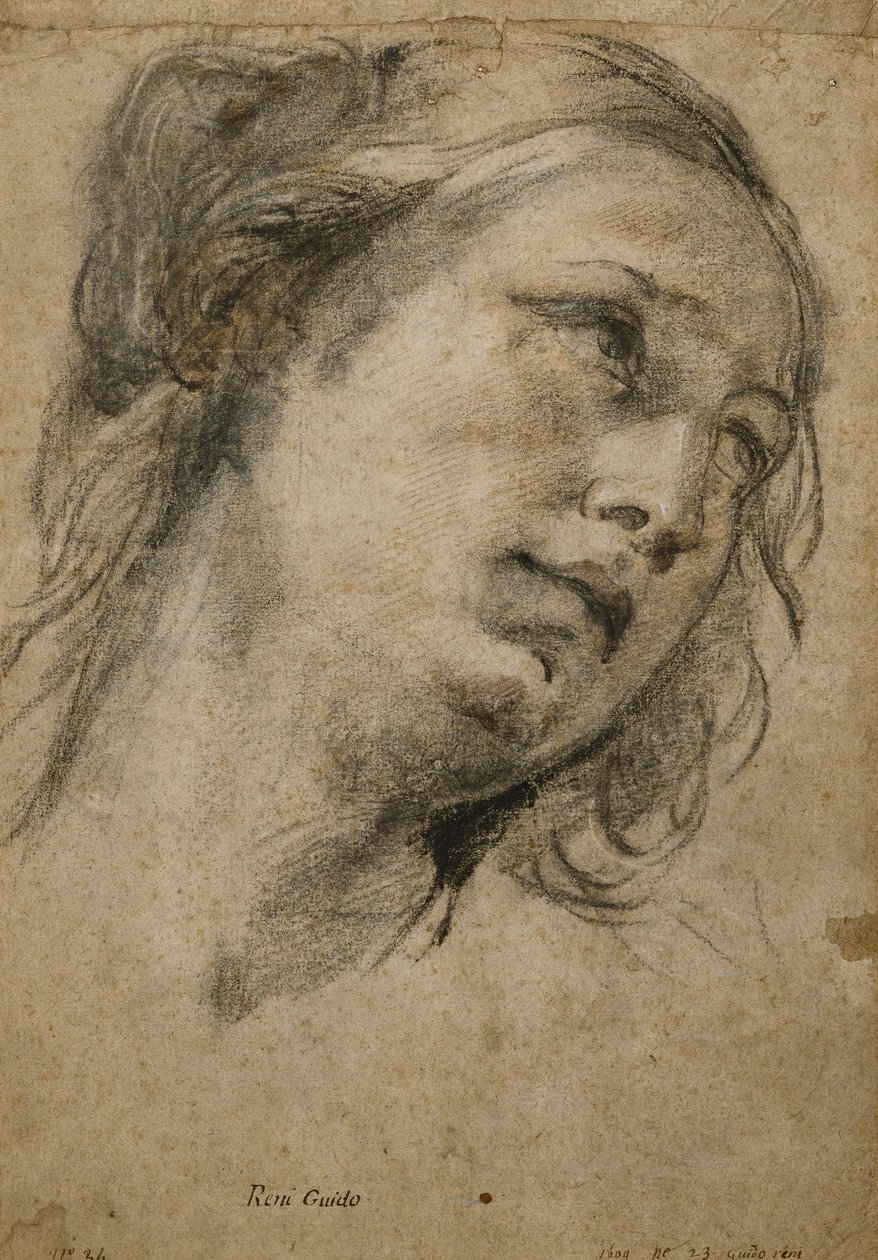 Head of a Woman Looking Up to the Right by Guido Reni