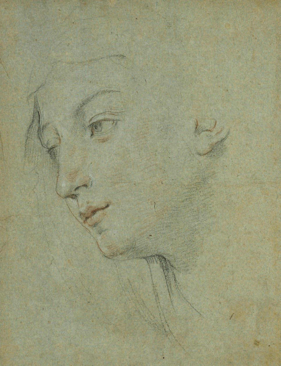 The Head of a Woman Looking Down to the Left by Guido Reni