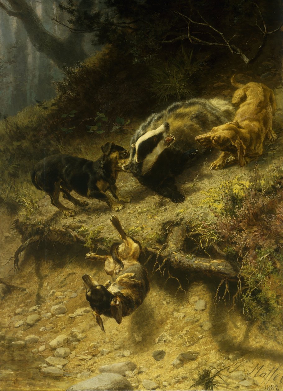 Dachshunds on a Badger by Guido von Maffei