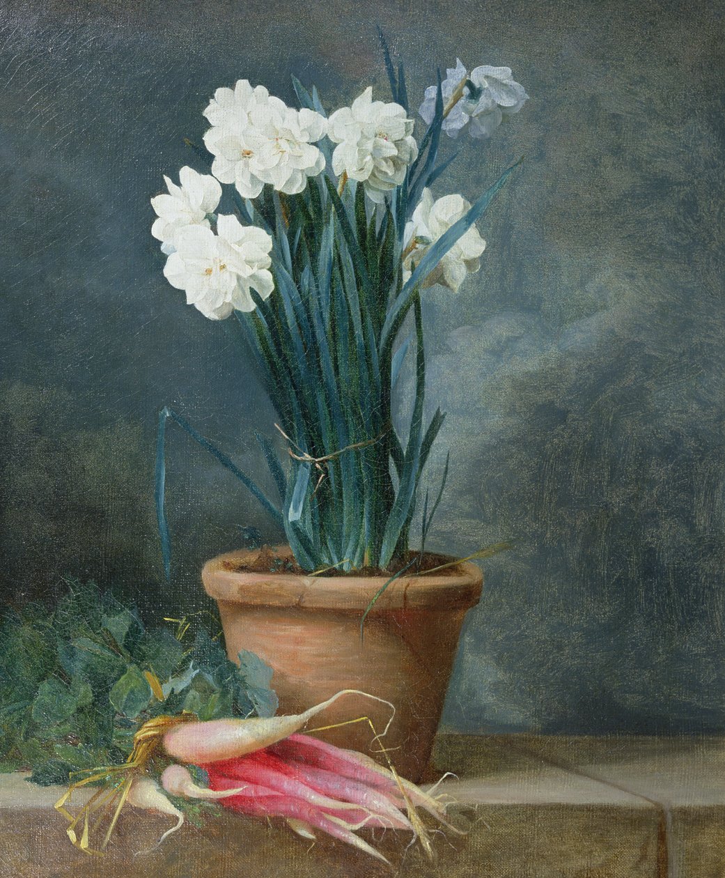 Still Life of Narcissi in a Terracotta Pot by Guillaume Thomas Raphael Taraval