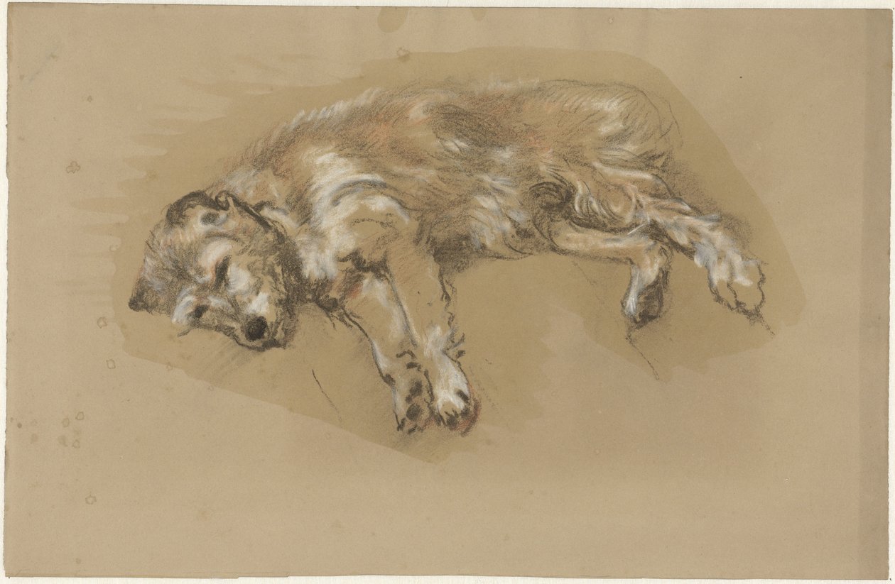Lying Dog by Guillaume Anne van der Brugghen
