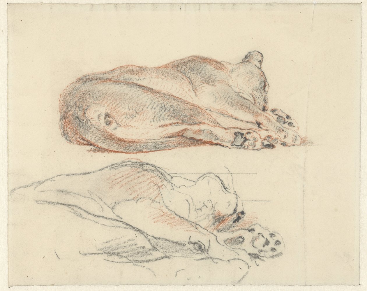 Two Studies of a Reclining Tiger by Guillaume Anne van der Brugghen