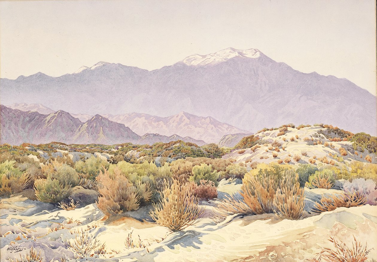 San Jacinto by Gunnar Widforss