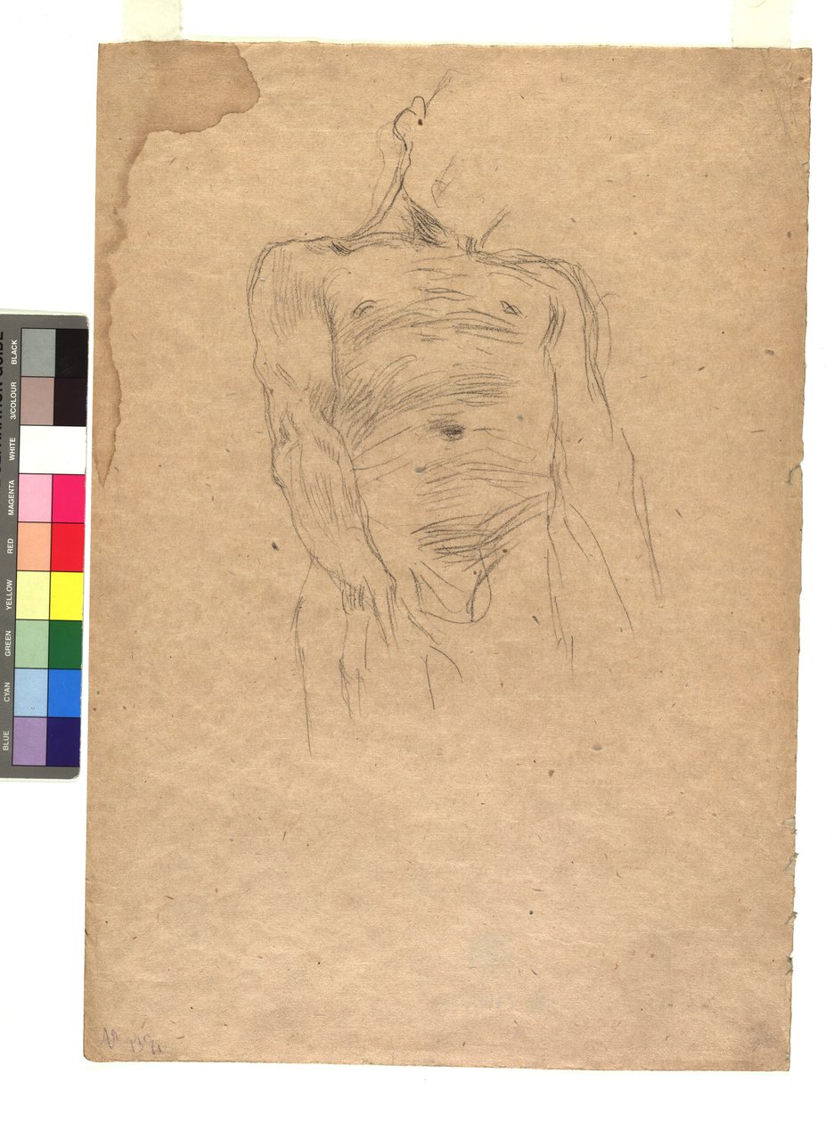 Male Torso by Gustav Klimt
