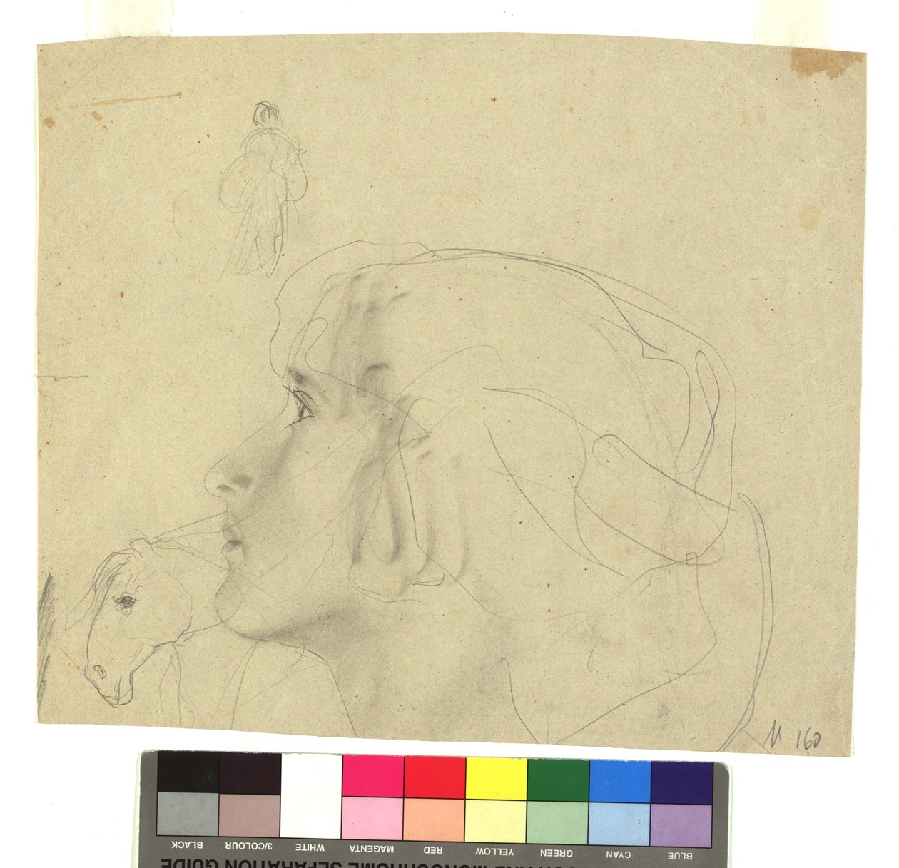 Female Head in Profile to the Left, Horse Head in Profile, Figure Study by Gustav Klimt