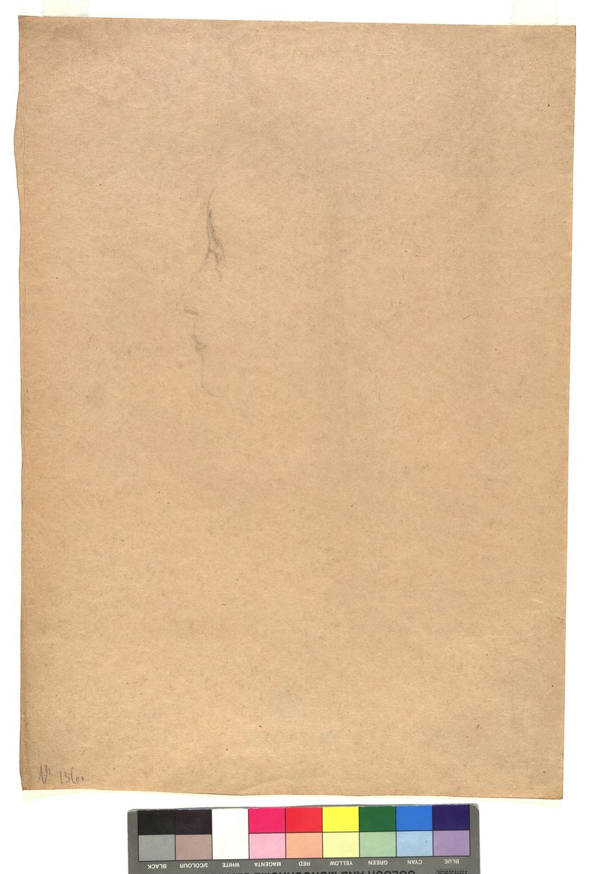Female Face in Profile to the Left by Gustav Klimt