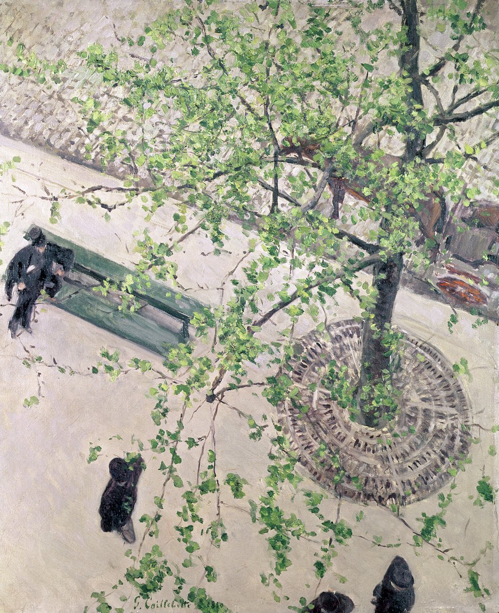 The Boulevard Viewed from Above by Gustave Caillebotte