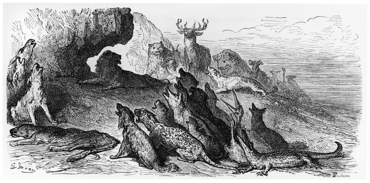 The Funeral of the Lioness, illustration from 