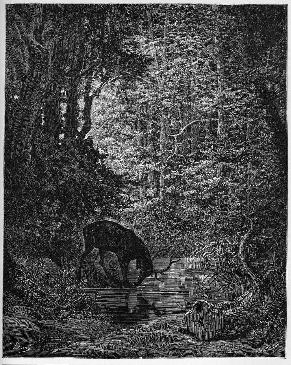 The Deer Which Shows Itself in the Water - from 
