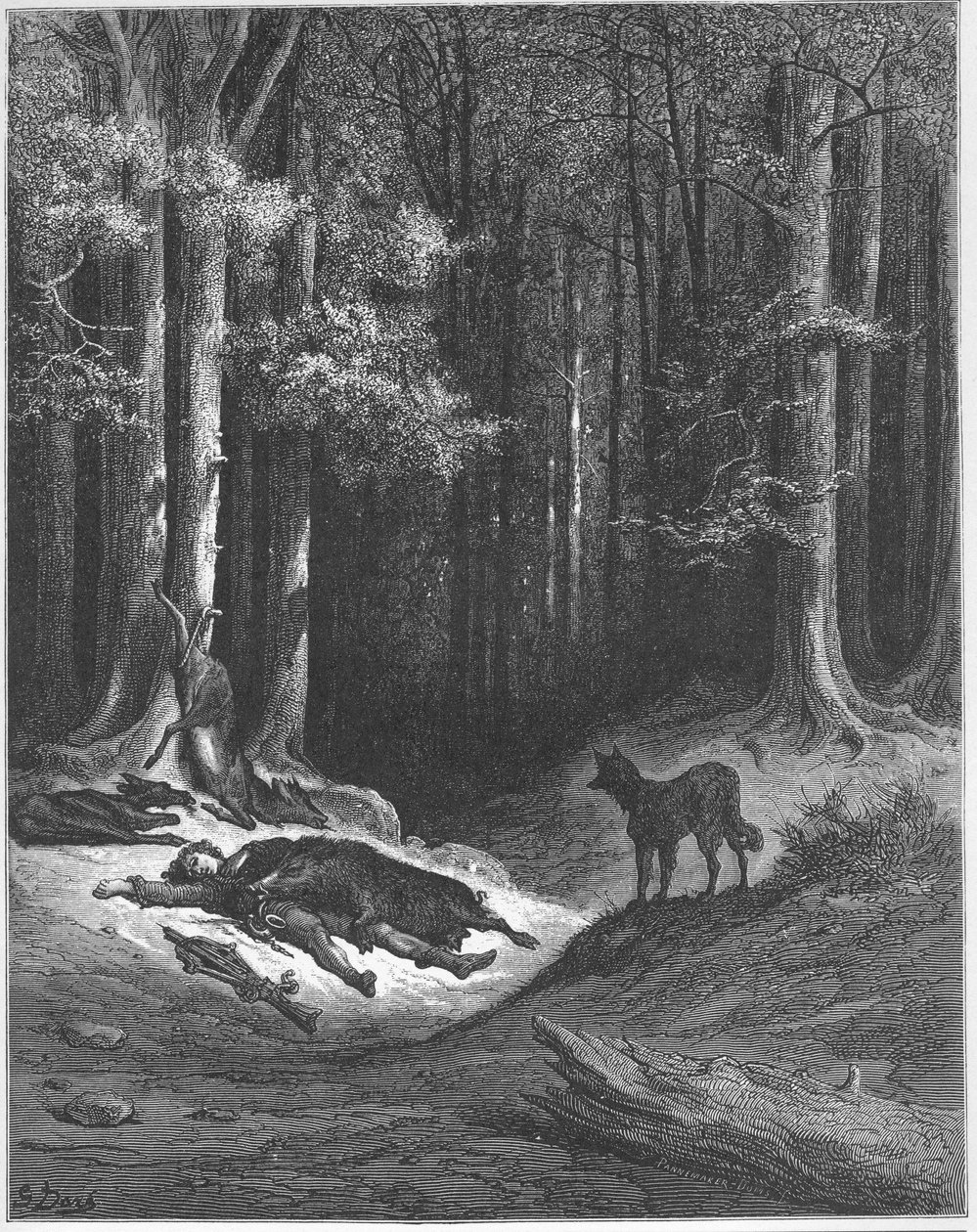 The Wolf and the Hunter - from 