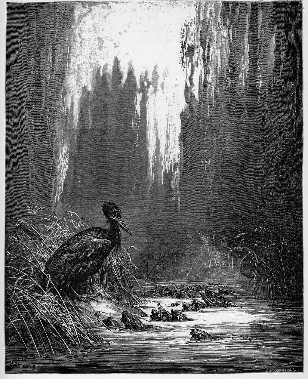 Fish and Cormorant from 
