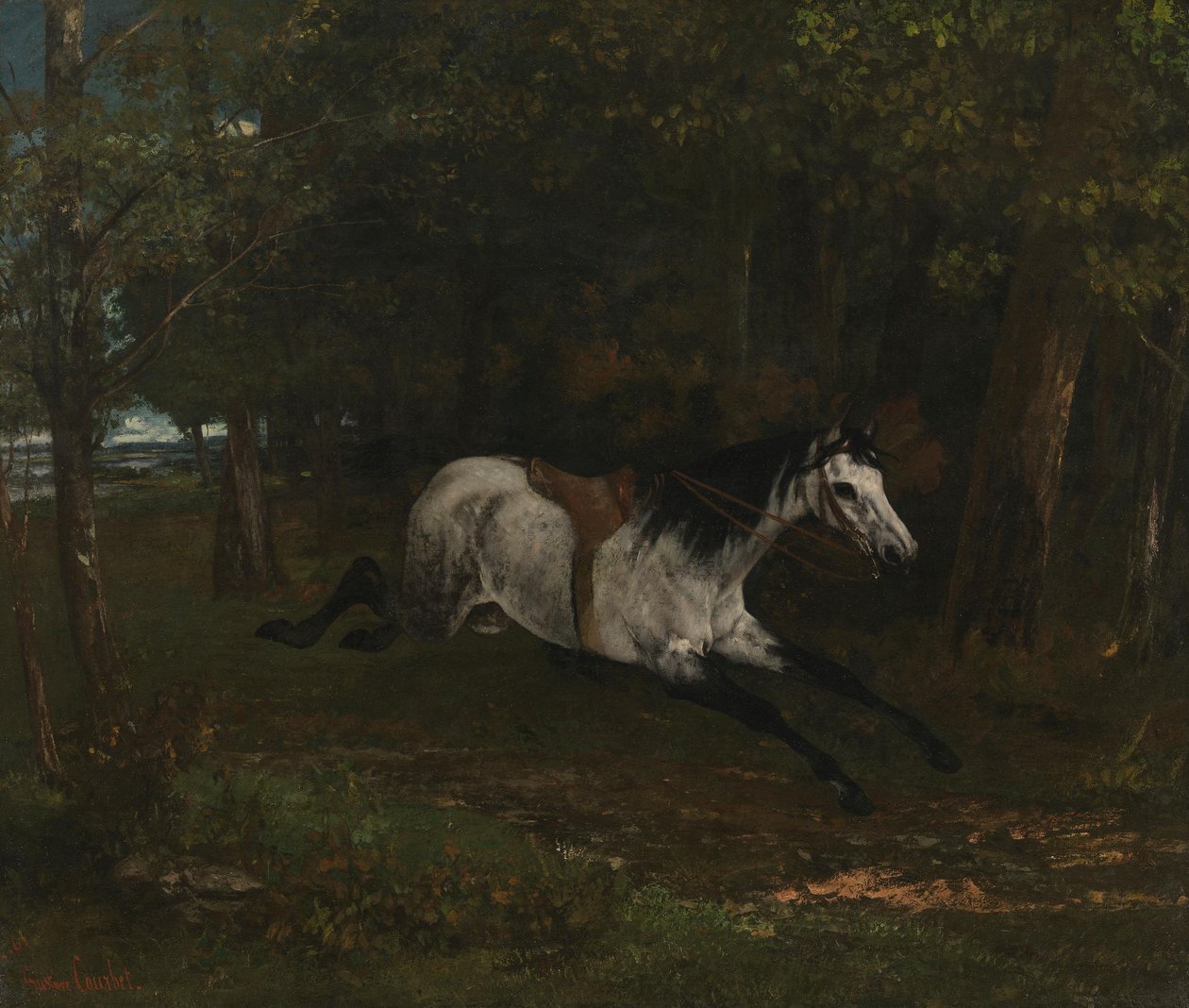 Galloping Horse by Gustave Courbet